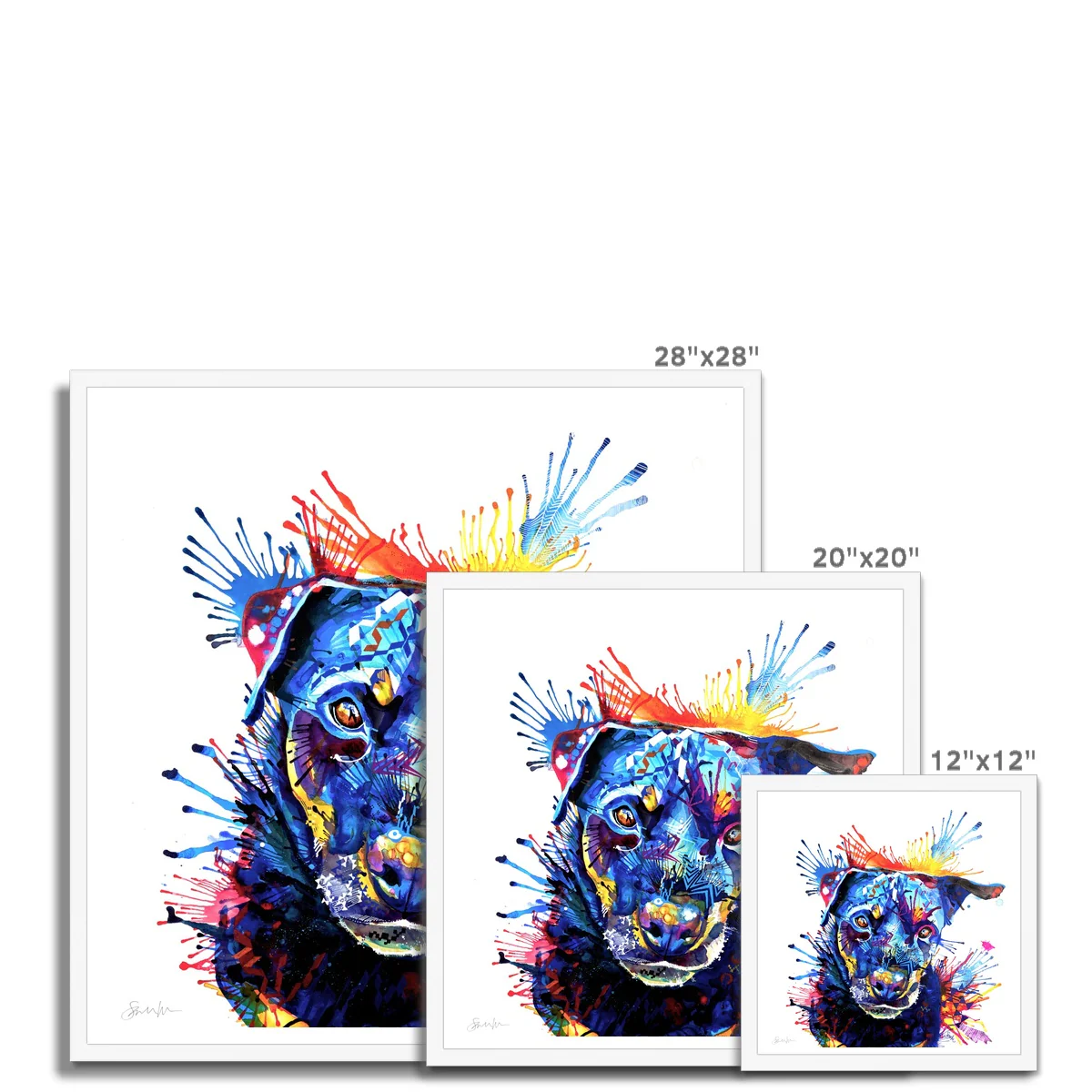 Thumbnail 12