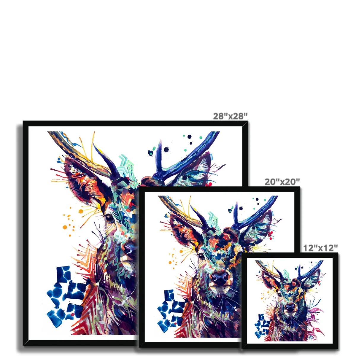 Thumbnail 12