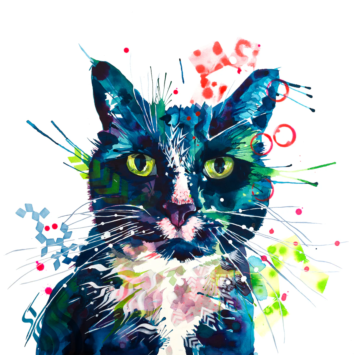 Thumbnail 13