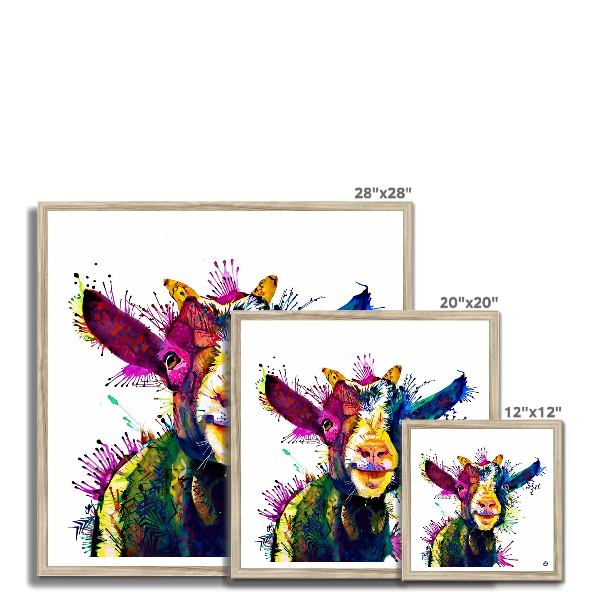 Thumbnail 13